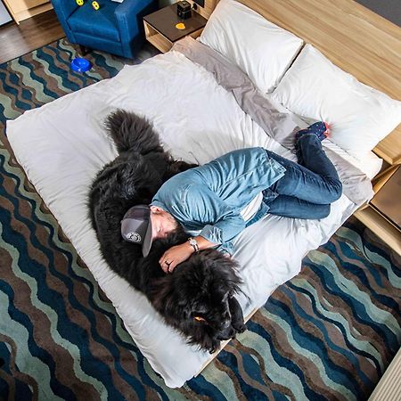 Accent Inns Kamloops Eksteriør bilde